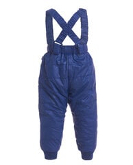 Синие утепленные демисезонные брюки для мальчиков Gulliver цена и информация | Зимняя одежда для детей | kaup24.ee