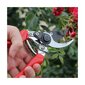 Vasakukäelise aiakäärid Professional Darlac hind ja info | Aiatööriistad | kaup24.ee