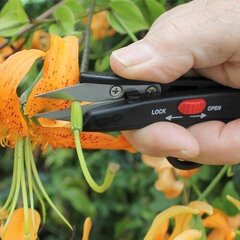 Aiakäärid Deadheading Snip Darlac цена и информация | Садовые инструменты | kaup24.ee