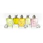 Tualettvesi Dior Les Creations de Monsieur Dior Forever And Ever EDT naistele 50 ml hind ja info | Naiste parfüümid | kaup24.ee