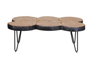 Кофейный столик Bagli, 115x70 см, коричневый/черный цена и информация | Журнальные столики | kaup24.ee