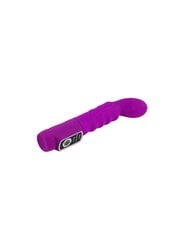 PRETTY LOVE BODY TOUCH II VIBRATOR LILLA hind ja info | Vibraatorid | kaup24.ee