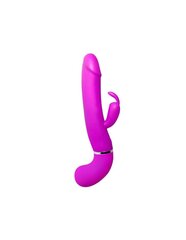 PRETTY LOVE – HENRY VIBRATOR 12 VIBRATSIOONI JA SPRITSIA FUNKTSIOON hind ja info | Vibraatorid | kaup24.ee