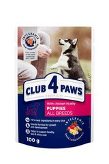 Полнорационные консервы для щенков CLUB 4 PAWS Premium с курицей в желе, 100 г х 20 шт. + 4 шт. Бонус цена и информация | Консервы для собак | kaup24.ee