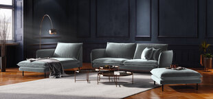 Pehme mööbli komplekt Cosmopolitan Design Vienna, helehall hind ja info | Diivanid ja diivanvoodid | kaup24.ee