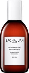 Кондиционер для защиты цвета волос Sachajuan Color Protect, 250 мл цена и информация | Бальзамы, кондиционеры | kaup24.ee