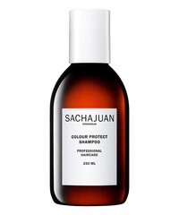 Шампунь для защиты цвета волос Sachajuan Color Protect, 250 мл цена и информация | Шампуни | kaup24.ee