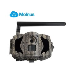 Fotoaparaat-kaamera - Boly Guard MG984G-36M цена и информация | Охотничьи принадлежности | kaup24.ee