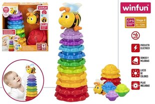 Пирамида Winfun Bee, +6м цена и информация | Игрушки для малышей | kaup24.ee