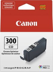 Canon 4201C001 цена и информация | Картриджи для струйных принтеров | kaup24.ee