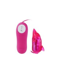 Вибратор CUTE SECRET DOLPHIN VIBRATOR 12 SPEED VIBRATION цена и информация | Вибраторы | kaup24.ee