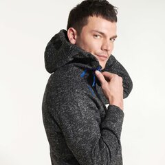 Мужской свитер EVEREST, черный цена и информация | Мужские толстовки | kaup24.ee