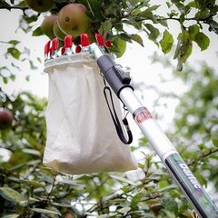 Собиратель для фруктов Darlac цена и информация | Садовые инструменты | kaup24.ee