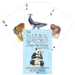 Карты Endangered Species of the Natural World цена и информация | Азартные игры | kaup24.ee