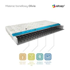 Матрас NORE Olivia Aloe Vera, 200x200 см цена и информация | Матрасы | kaup24.ee