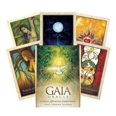 Taro kaardid Gaia цена и информация | Эзотерика | kaup24.ee