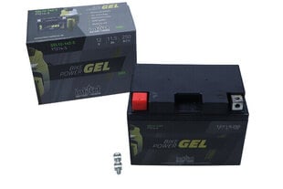 Mootorratta aku intAct Battery-Power GEL YTZ14-S 12V 11,5Ah c20 250A цена и информация | Аккумуляторы | kaup24.ee