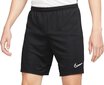 Lühikesed püksid meestele Nike, must L hind ja info | Jalgpalli varustus ja riided | kaup24.ee