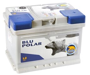 Aku BAREN POLAR BLU 54Ah 520A цена и информация | Аккумуляторы | kaup24.ee