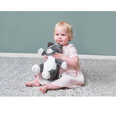 Zazu Кот Chloe - Мягкая игрушка, которая поет песни и хлопает в ладоши для детей от 0+ лет цена и информация | Игрушки для малышей | kaup24.ee