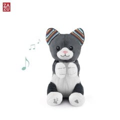 Laulev mänguasi Zazu Chloe Cat - Soft toy who sing songs and clap hands for childrens (0+) цена и информация | Игрушки для малышей | kaup24.ee