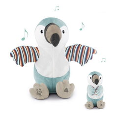 Laulev mänguasi Zazu Timo Toucan - Soft toy who sing songs and clap hands for childrens (0+) hind ja info | Imikute mänguasjad | kaup24.ee