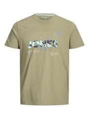 Детская футболка JACK & JONES 12206162*01 5715217249559 цена и информация | Рубашки для мальчиков | kaup24.ee