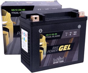 Аккумулятор для мотоциклов intAct Battery-Power GEL (YTX20L-BS) 12V 18AH (c20) 300A (EN) цена и информация | Мото аккумуляторы | kaup24.ee
