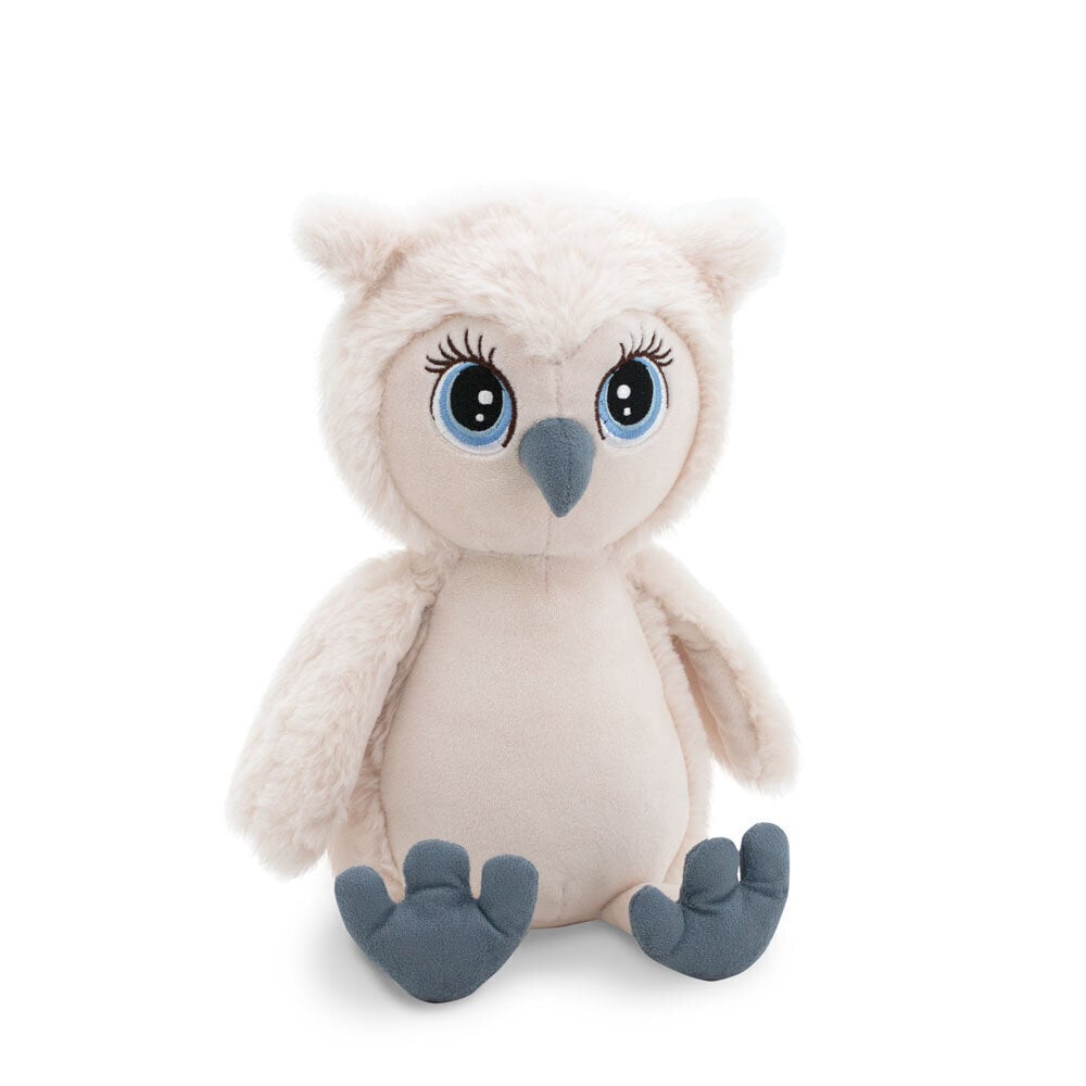 Öökull Lisa (Lisa the Owl) цена и информация | Imikute mänguasjad | kaup24.ee