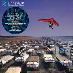 Pink Floyd - A Momentary Lapse Of Reason (Remixed & Updated), 2LP, vinüülplaats, 12" vinyl record hind ja info | Vinüülplaadid, CD, DVD | kaup24.ee