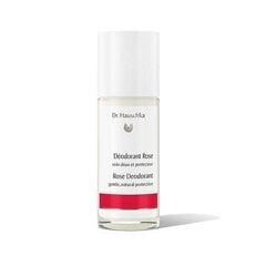 Dr. Hauschka deodorant piparmündi ja salvei ekstraktidega (Sage Mint Deodorant) 50 ml цена и информация | Дезодоранты | kaup24.ee