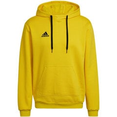 Adidas Džemprid Ent22 Hoody Yellow HI2140 hind ja info | Meeste spordiriided | kaup24.ee