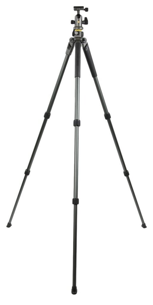 Vanguard ALTA PRO 2+ 263AB 100 173 cm, 7 kg, Number of legs 3, 74 cm, Swivelling, Digital/film cameras, Alta BH 100 Ball Head цена и информация | Statiivid | kaup24.ee