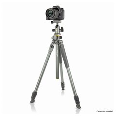 Vanguard ALTA PRO 2+ 263AB 100, 173 см, цена и информация | Штативы | kaup24.ee