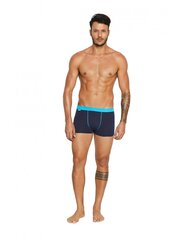 HENDERSON SHORTS 37815 RICH цена и информация | Мужские трусы | kaup24.ee