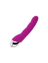 Вибратор OHMAMA 6 MODES AND 6 SPEEDS VIBRATOR - PURPLE, 21.5 см цена и информация | Вибраторы | kaup24.ee