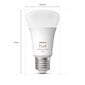 Pirnid Philips Hue White and Color, 4 tk hind ja info | Lambipirnid, lambid | kaup24.ee