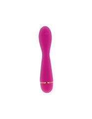 Вибратор OHMAMA VIBRATOR G SPOT STIMULATING 20 MODES OF VIBRATION - PINK цена и информация | Наборы секс-товаров | kaup24.ee