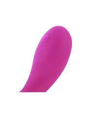 Вибратор OHMAMA VIBRATOR G SPOT STIMULATING 20 MODES OF VIBRATION - PINK цена и информация | Наборы секс-товаров | kaup24.ee