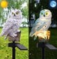 Päikeseenergia aialamp Owl цена и информация | Aia- ja õuevalgustid | kaup24.ee