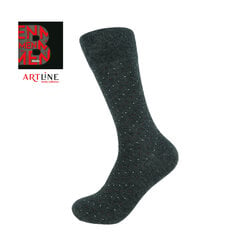 Мужские носки Bisoks 12319 antracit цена и информация | Мужские носки | kaup24.ee
