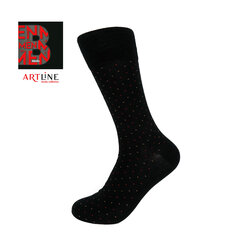 Мужские носки Bisoks 12319 black цена и информация | Мужские носки | kaup24.ee