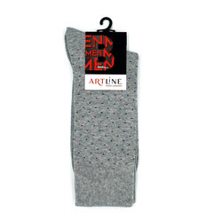 Мужские носки Bisoks 12319 l.grey цена и информация | Мужские носки | kaup24.ee