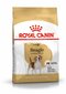 Royal Canin täiskasvanud beagle Beagle adult, 3 kg цена и информация | Kuivtoit koertele | kaup24.ee