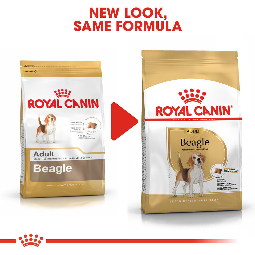 Royal Canin täiskasvanud beagle Beagle adult, 3 kg hind ja info | Kuivtoit koertele | kaup24.ee