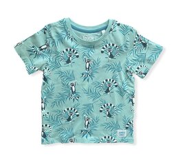 Laste t-särk lühikeste varrukatega цена и информация | Рубашки для мальчиков | kaup24.ee