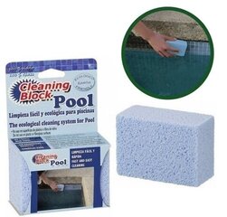 Basseini- ja spaaplaatide puhastus svamm Cleaning Block Pool, 1 tk цена и информация | Фильтры для бассейнов | kaup24.ee