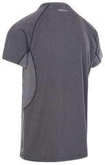 Мужская футболка Trespass, серая цена и информация | Мужские футболки | kaup24.ee