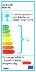 Candellux потолочный светильник Laufer цена и информация | Candellux Мебель и домашний интерьер | kaup24.ee