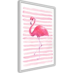 Плакат Pink Madness цена и информация | Картины, живопись | kaup24.ee
